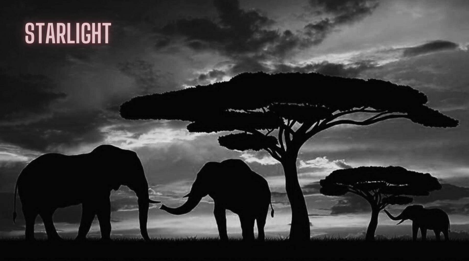 Et <strong>si</strong> le <br /> patron  <br /> <strong>c'était</strong> vous ?